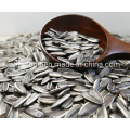 New Crop Dried Sunflower Seeds Raw or Roasted Sunflower Seeds